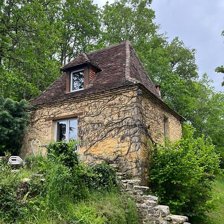 Petite Maison En Perigord Noir Plazac Exterior photo
