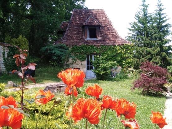 Petite Maison En Perigord Noir Plazac Exterior photo